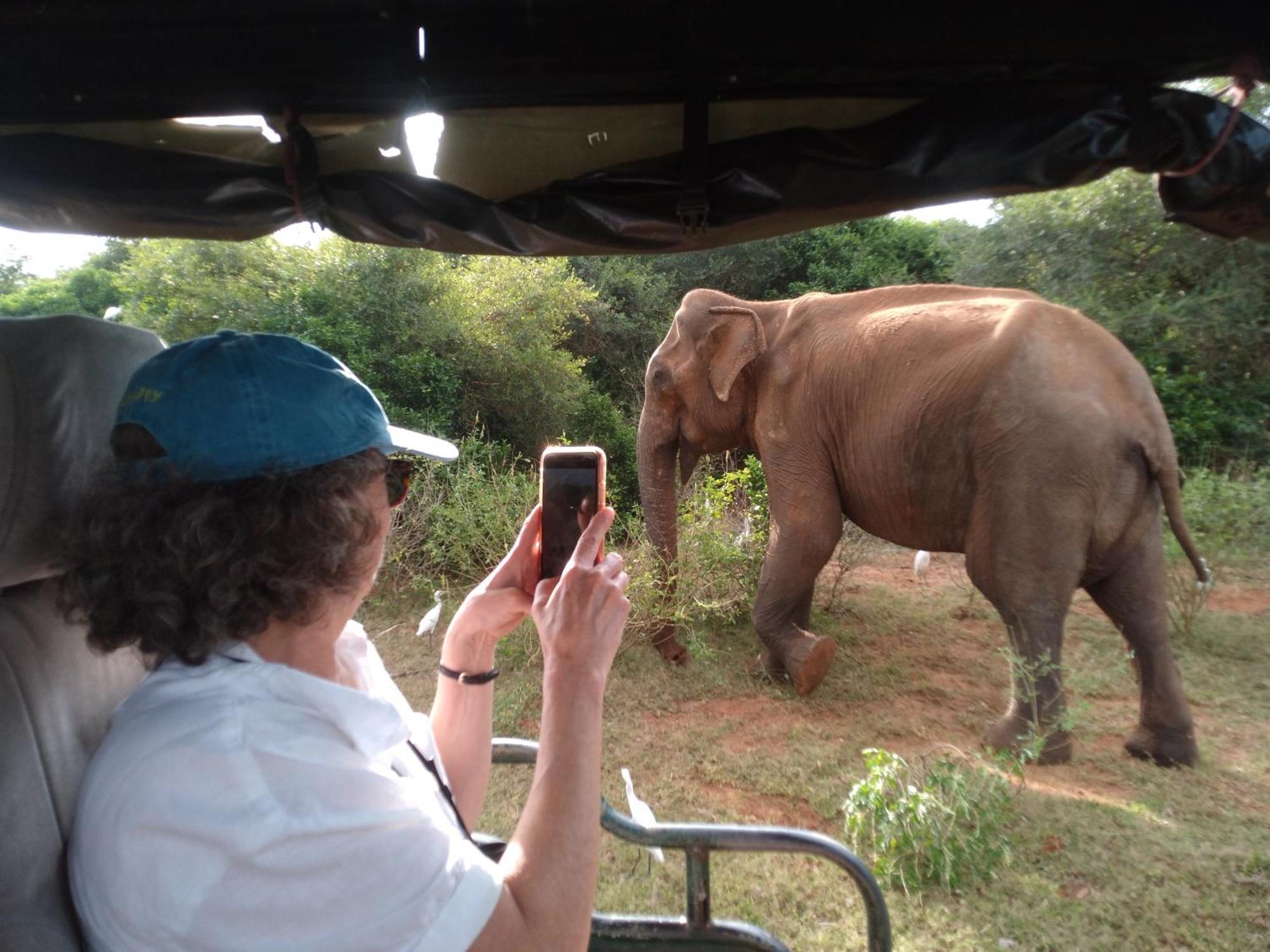 Happy Beach Safari Retreat Hambantota Luaran gambar
